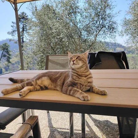 Rustico Lo Scarpone Holiday home *