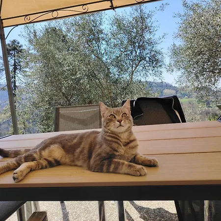 Rustico Lo Scarpone *