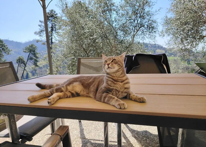 Rustico Lo Scarpone Сasa de vacaciones *