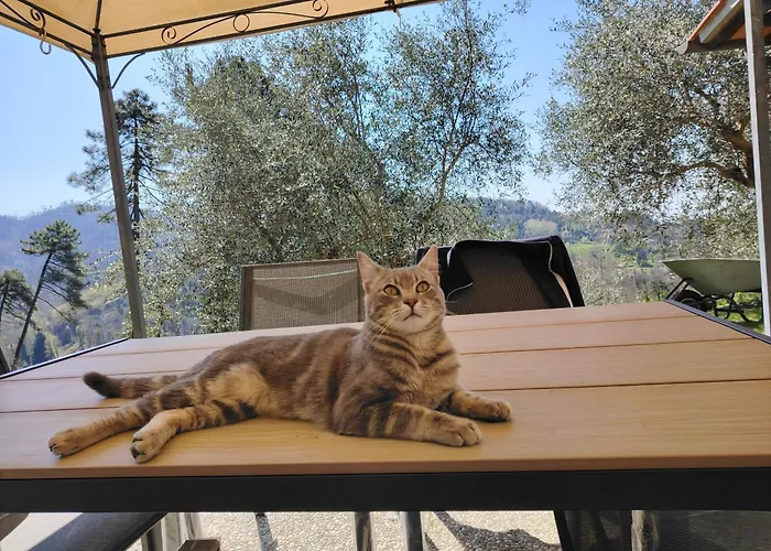 Rustico Lo Scarpone *